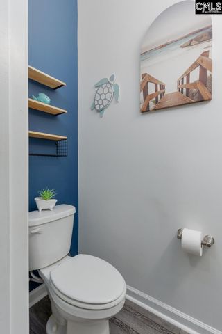 822 Ruskin Drive, Chapin, SC 29036