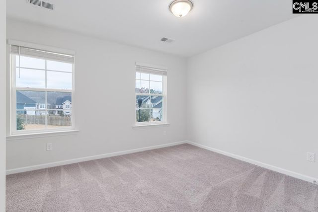 822 Ruskin Drive, Chapin, SC 29036