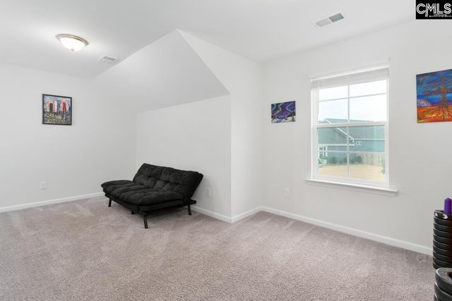 822 Ruskin Drive, Chapin, SC 29036