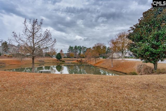 822 Ruskin Drive, Chapin, SC 29036