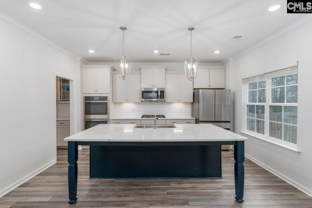 822 Ruskin Drive, Chapin, SC 29036