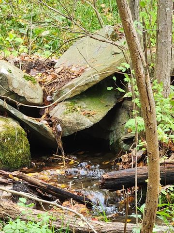 0 County Route 9, New Lebanon, NY 12125