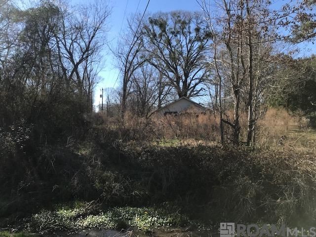 21571 Ligon Rd, Zachary, LA 70791
