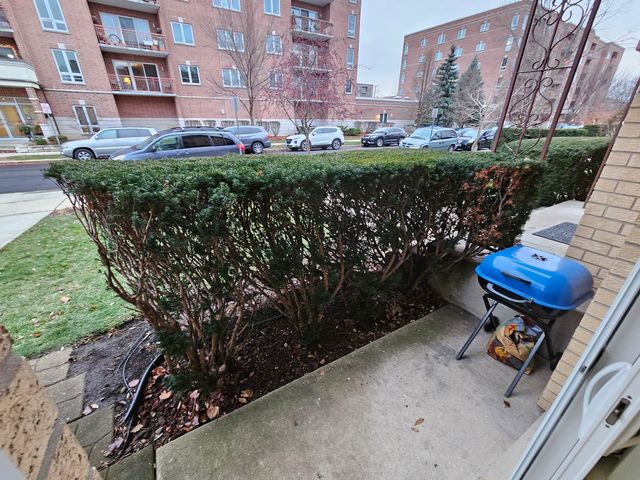 1354 E Washington Street 102, Des Plaines, IL 60016