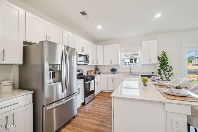 143 Mint Court, Bluff City, TN 37618