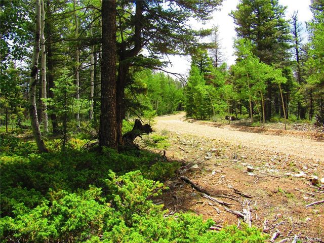 6082 Stella Road Rd, San Luis, CO 81152