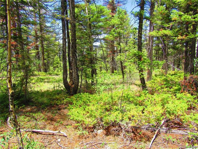 6082 Stella Road Rd, San Luis, CO 81152