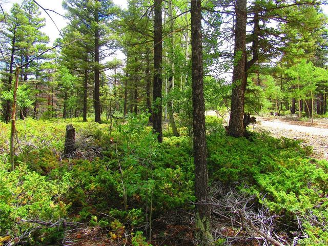 6082 Stella Road Rd, San Luis, CO 81152