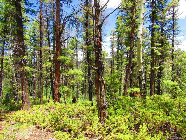 6082 Stella Road Rd, San Luis, CO 81152