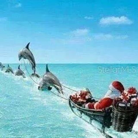 1230 GULF BOULEVARD 1402, Clearwater Beach, FL 33767