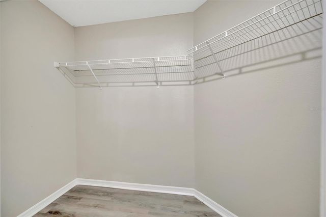 9022 SHELDON CHASE DRIVE, Tampa, FL 33635