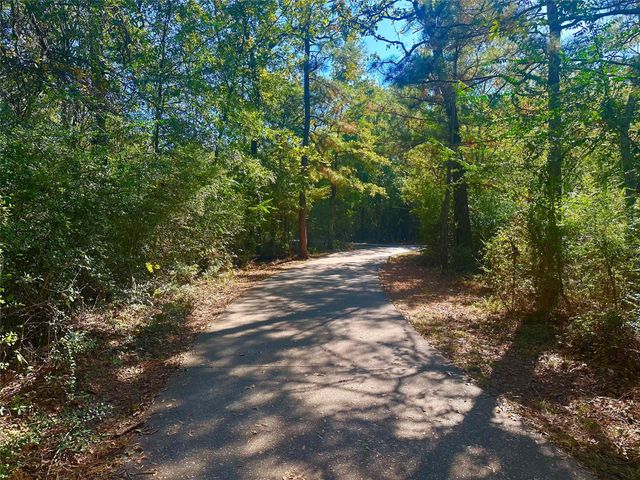 3318 Iron Pine Lane, Conroe, TX 77301