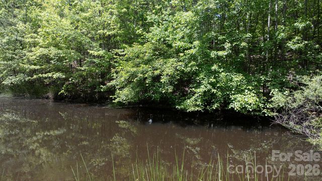 7008 Peyronel Street, Connelly Springs, NC 28612
