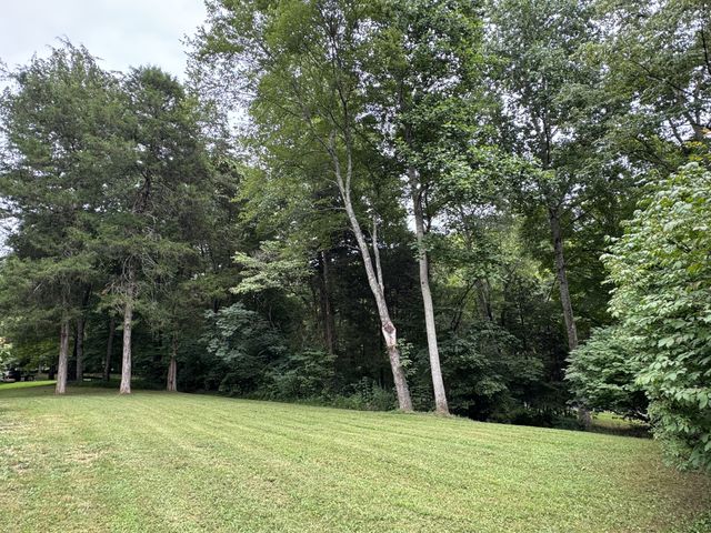 9056 Taylor Cemetery Rd, Lyles, TN 37098