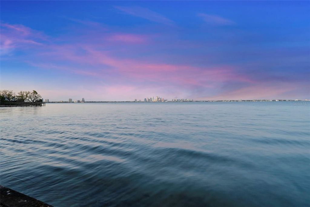 Image 65 of property listing at 5010 BAYSHORE BOULEVARD 4, Tampa, FL 33611