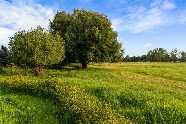 223 Poppy Field Drive, Bozeman, MT 59718