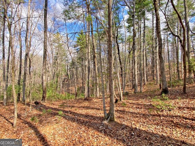 40 Bartram Trail, Dahlonega, GA 30533