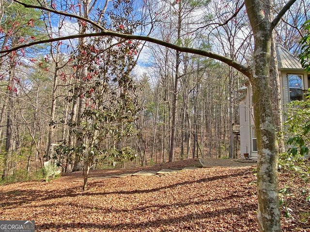 40 Bartram Trail, Dahlonega, GA 30533