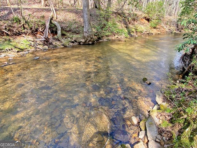 40 Bartram Trail, Dahlonega, GA 30533