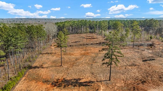 174 Lee Road 0263, Cusseta, AL 36852