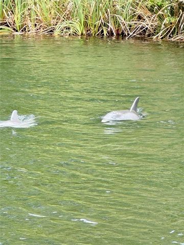 7266 TROPICAL DRIVE, Weeki Wachee, FL 34607