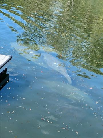 7266 TROPICAL DRIVE, Weeki Wachee, FL 34607