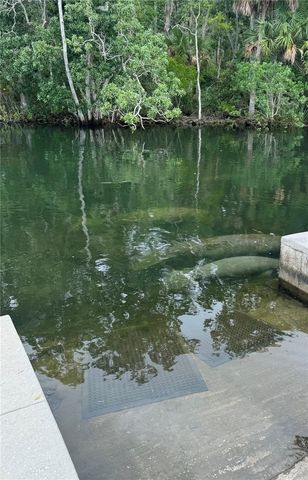 7266 TROPICAL DRIVE, Weeki Wachee, FL 34607