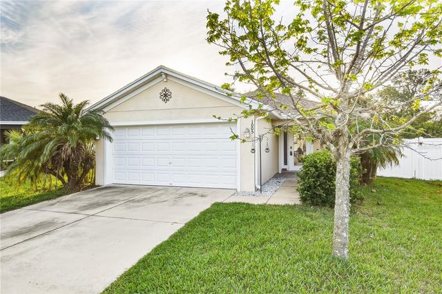 1005 CHANDLER SNOWDEN COURT, Ruskin, FL 33570