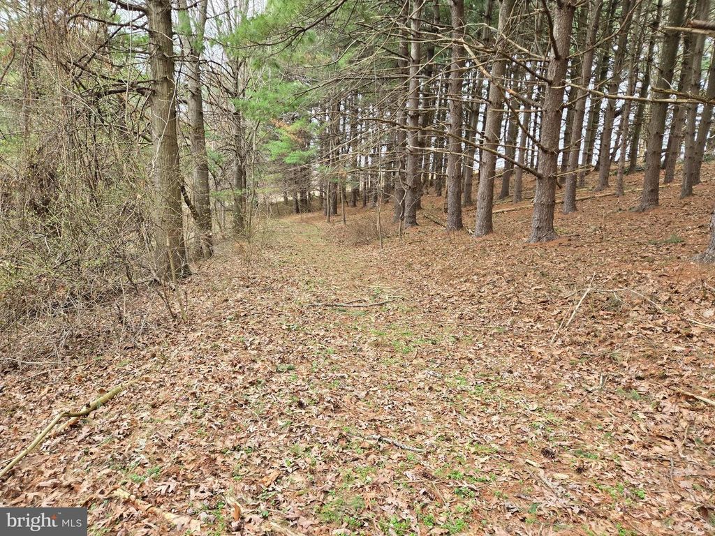 Image 18 of property listing at FARMINGTON, Woodbine, MD 21797