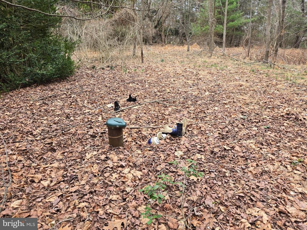 Image 24 of property listing at FARMINGTON, Woodbine, MD 21797