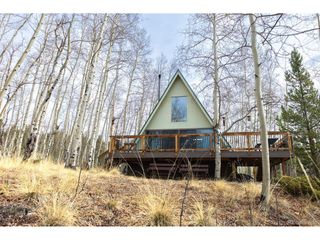 206 Empire Cir, Leadville, CO 80461