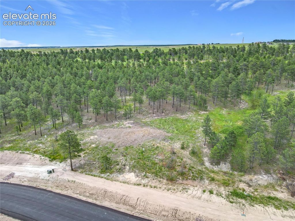 14863 Bourbon Court, Colorado Springs, CO 80908 — photo 2