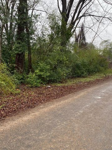 00 Cochran Street, Shepherd, TX 77371