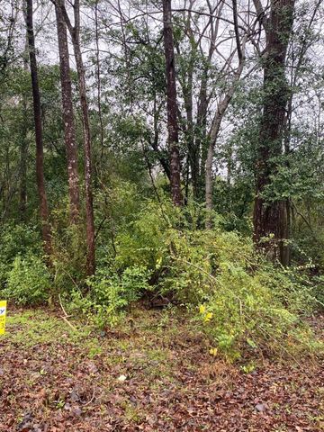 00 Cochran Street, Shepherd, TX 77371