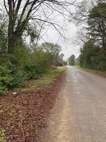 00 Cochran Street, Shepherd, TX 77371