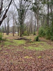 00 Cochran Street, Shepherd, TX 77371