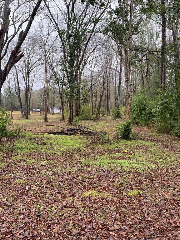 00 Cochran Street, Shepherd, TX 77371