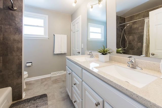 461 Middlesex Court, Buffalo Grove, IL 60089