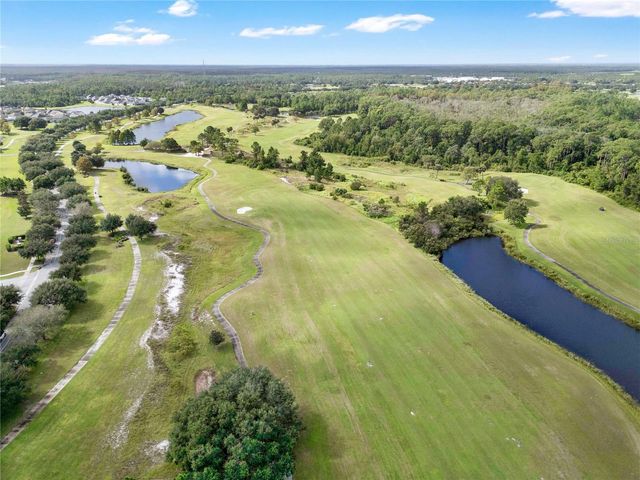 3320 BRACKEN FERN DRIVE, Harmony, FL 34773