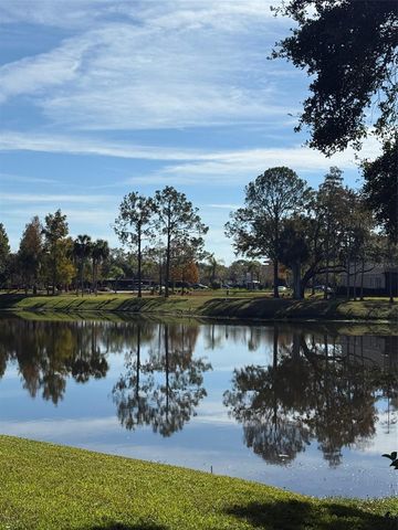 4129 NORTHMEADOW CIRCLE, Tampa, FL 33618