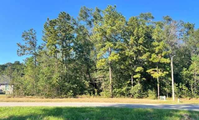 1001 Road 6609, Dayton, TX 77535