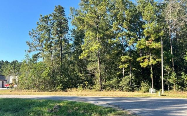 1001 Road 6609, Dayton, TX 77535