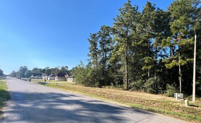 1001 Road 6609, Dayton, TX 77535