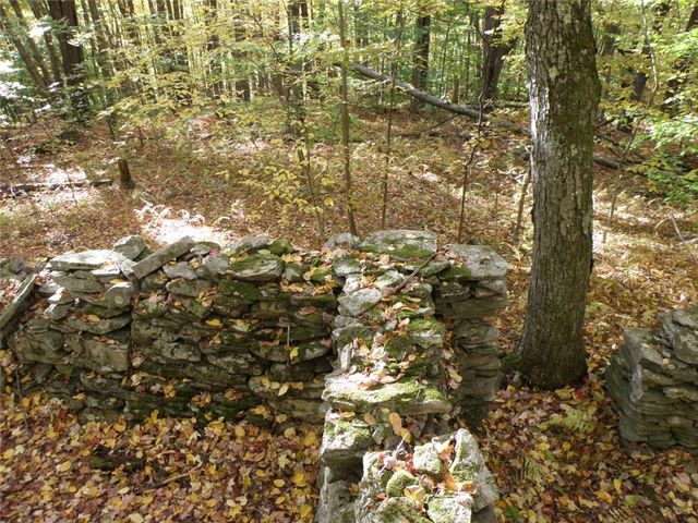 Gregory Hollow Road, Hamden, NY 13782