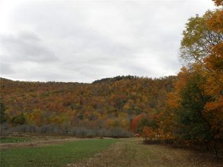 Gregory Hollow Road, Hamden, NY 13782