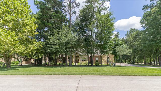 11302 Longmire Creek Court, Conroe, TX 77304