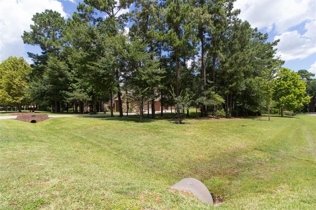 11302 Longmire Creek Court, Conroe, TX 77304