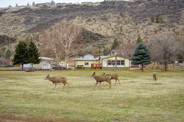 11896 SW Horny Hollow Trail, Terrebonne, OR 97760