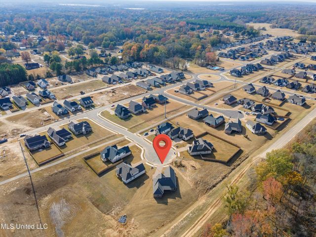 2968 Piper Cove, Nesbit, MS 38651