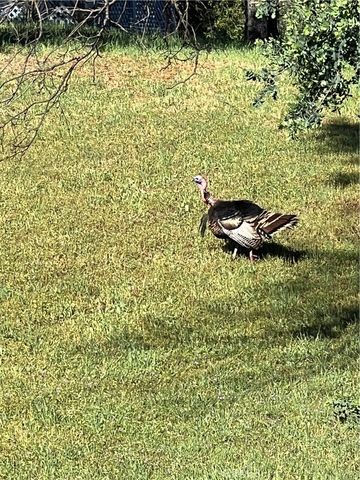 10180 Highway 29, Lower Lake, CA 95457